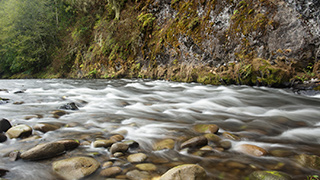 Photo of a stream with rocks and trees near the shoreline