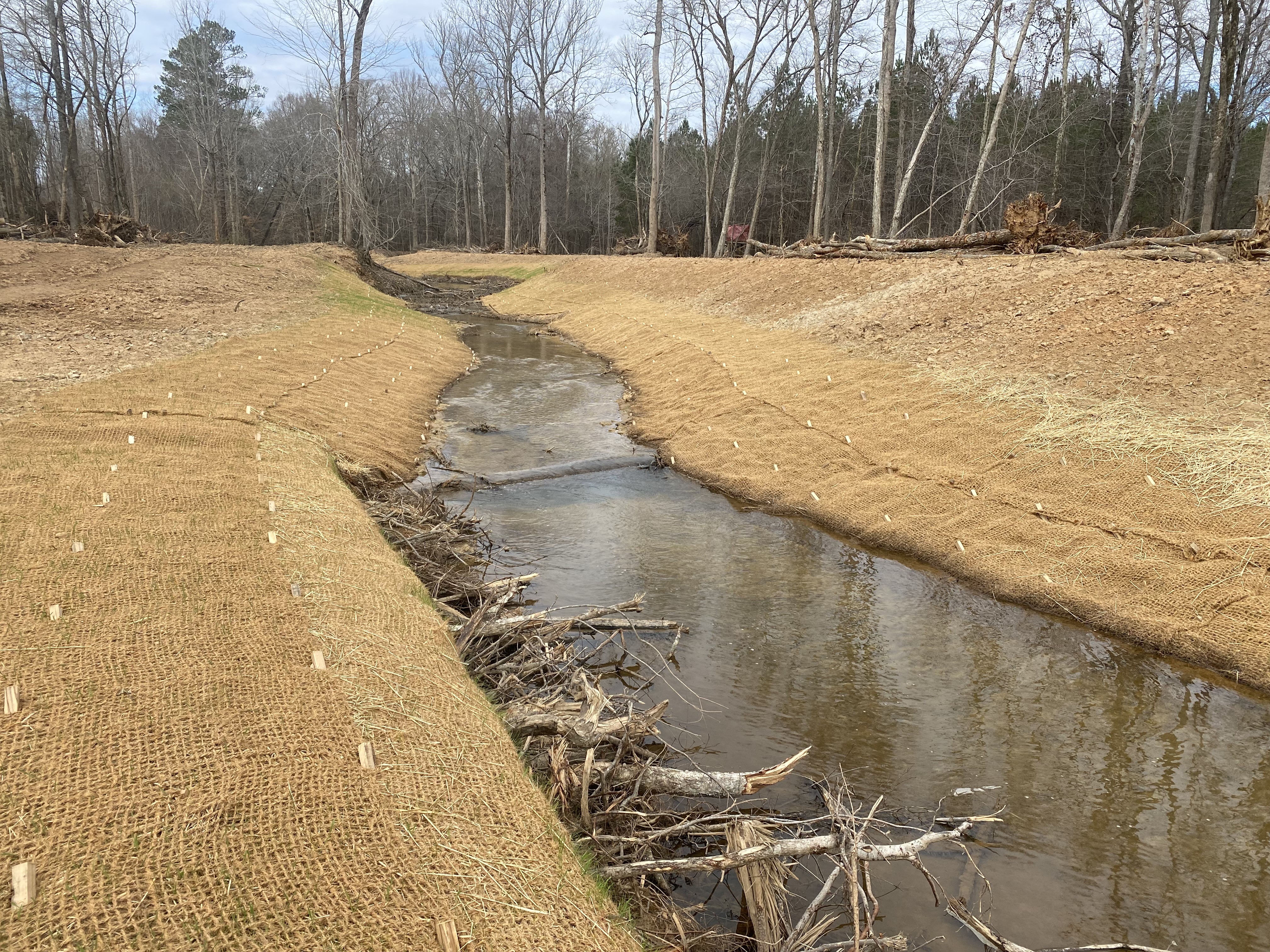Image of the Gregorys Creek mitigation bank area in South Carolina.