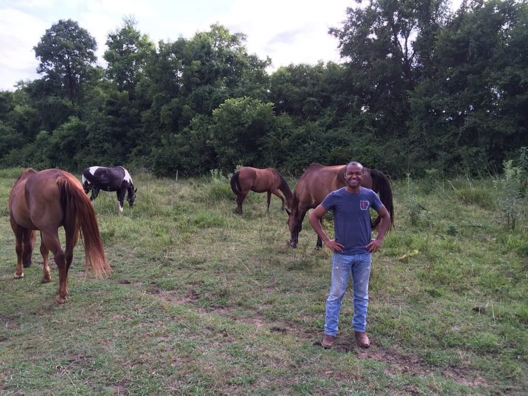 Shaun Clark with his horses.