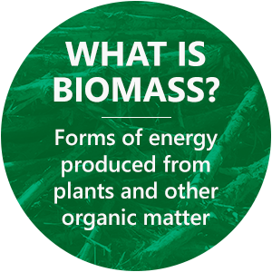 What is biomass? Forms of energy produced from plants and other organic matter