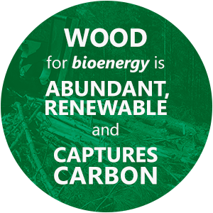 Wood for bioenergy is abundant, renewable and caputres carbon