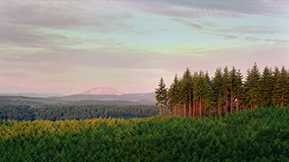By partnering with industry associations, we educate policymakers about the positive enviornmental and economic impact of forestry around the United States.