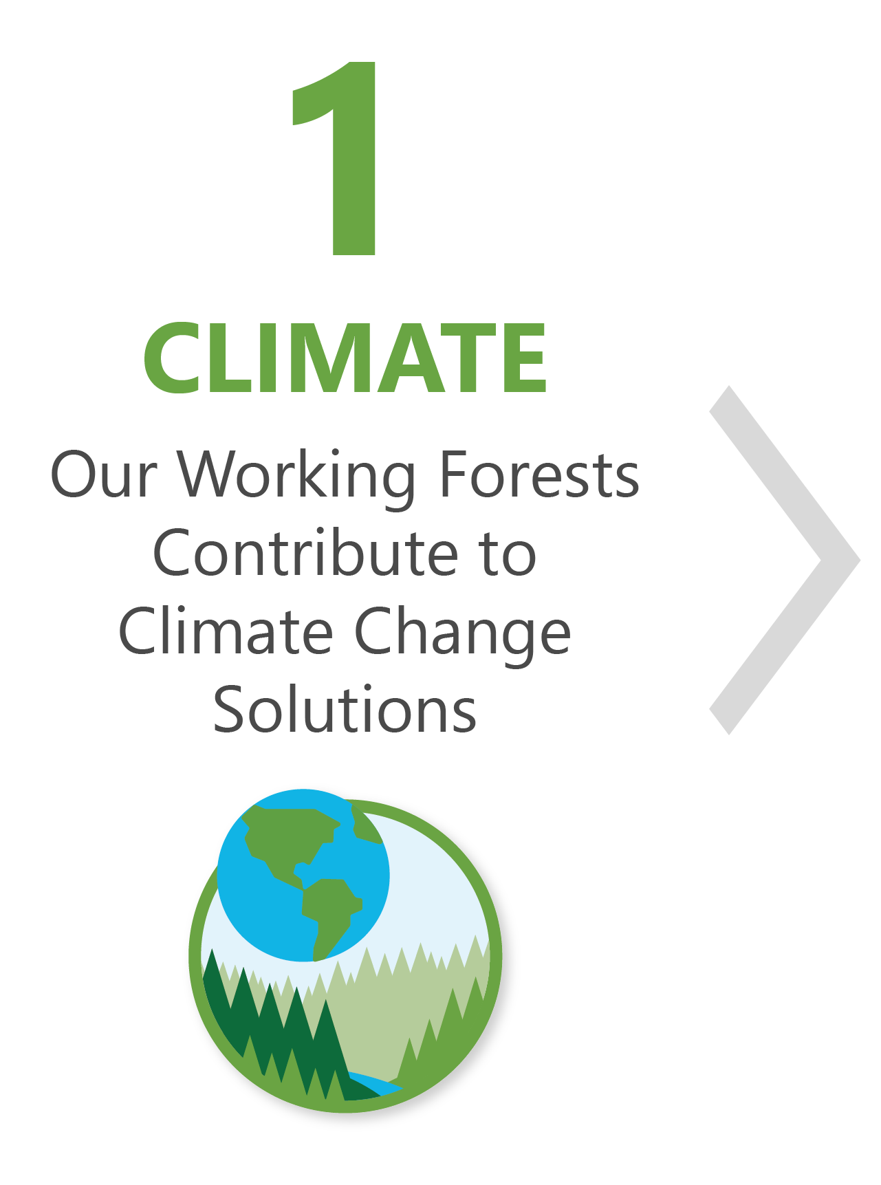 Climate: Our Working Forests Contribute To Climate Change Solutions